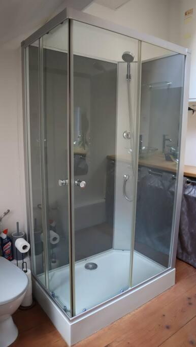 Maison Atypique, Centre-Ville 2+2 Pers Sauna Ir Sedan Dış mekan fotoğraf